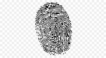 Fingerprint Computer Icons Clip art - others 