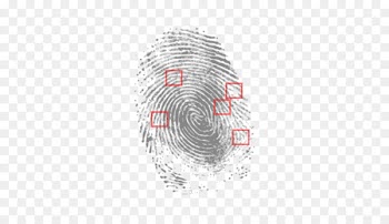 Fingerprint Crime scene Criminal law Criminal justice - convene outline 