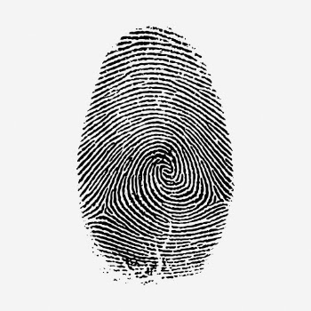 Fingerprint drawing, vintage whorl illustration. | Free Photo - rawpixel