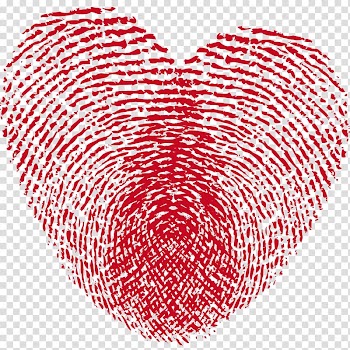 Fingerprint Heart Raster graphics , heart transparent background PNG clipart