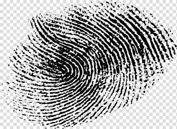 Fingerprint illustration, Fingerprint Line art Drawing , fingerprint transparent background PNG clipart