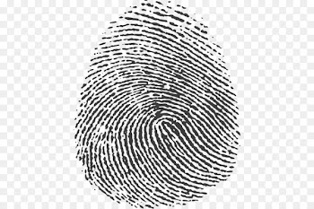 Fingerprint Image Graphics Graphic design Illustration -  