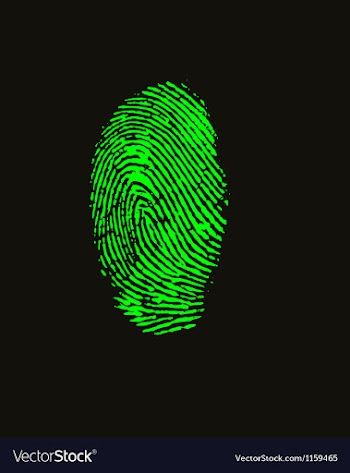  					Fingerprint vector image														