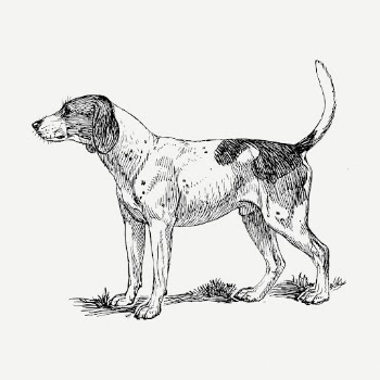 Finnish Hound dog drawing clipart, | Free PSD - rawpixel