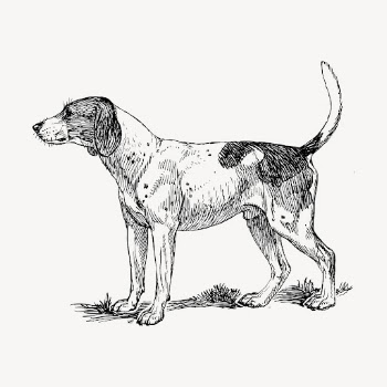 Finnish Hound dog hand drawn | Free Vector - rawpixel