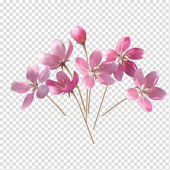 Fiori e Pensieri LAquila, Apricot Wedding Flowers transparent background PNG clipart