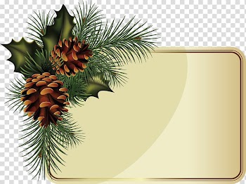 Fir Borders and Frames Conifer cone Spruce, pinecones transparent background PNG clipart
