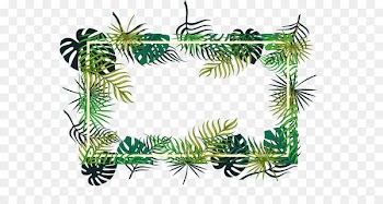 Fir Christmas ornament Pine Spruce Evergreen - Tropical leaf decoration box 