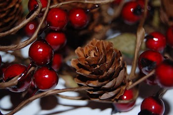 Fir_cone_and_Berries.jpg