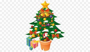 fir evergreen christmas decoration pine family flowerpot - Christmas tree 