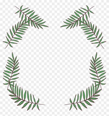 Fir Leaf Pine - Pine