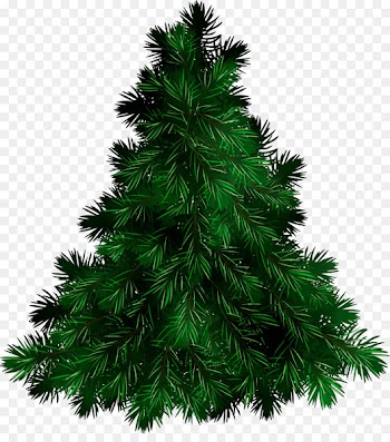 Fir Portable Network Graphics Clip art Image Christmas Graphics -  