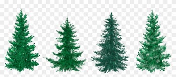 Fir Tree Clipart Group Tree - Christmas Tree Clip Art