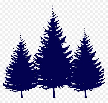 Fir Tree Clipart Three Pine - Evergreen Tree Silhouettes Hd