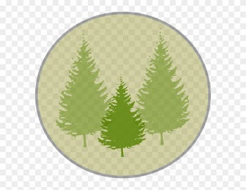 Fir Tree Clipart Three Pine - Pine Tree Silhouette Vector