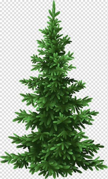 Fir Tree Pine Christmas, fir-tree transparent background PNG clipart