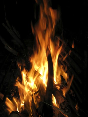Fire_8101 (17).JPG