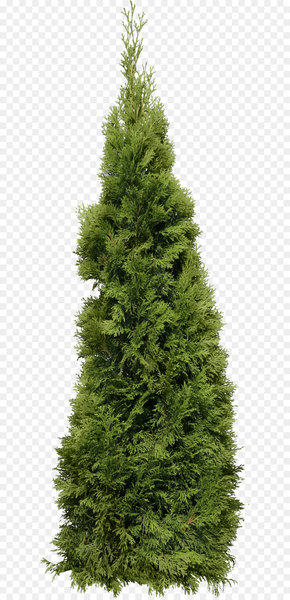 Fire Emblem Heroes Adobe Fireworks Icon - Green Big Fir-Tree Png Image 