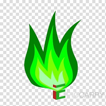 Fire Flame Conflagration Deflagration, green smoke transparent background PNG clipart