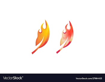 Fire leaf logo leaf logo with a blazing fire vector image