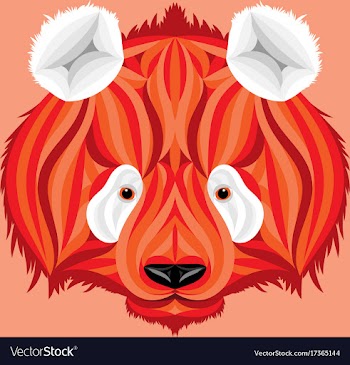 Fire panda picture of fire bear with white ears vector image