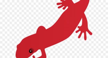 Fire salamander Newt Clip art Vertebrate - tahoe 