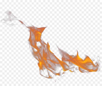 Fire Transparency and translucency PhotoScape Clip art - Renders Png Available In Different Size 