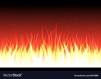 Fire vector image