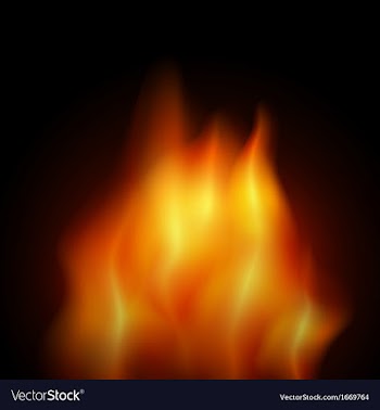 Fire vector image