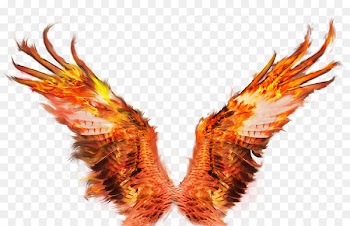 Fire Wings Sacramento Portable Network Graphics Image Clip art Firebird - grail design element 