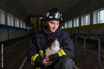 firefighter plays with a kitten, hugs, rejoices