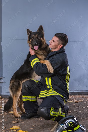 firefighter plays with a sheepdog, hugs, rejoices