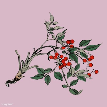Firethorns by Kōno Bairei (1844-1895). Digit.. | Free stock vector - 467125