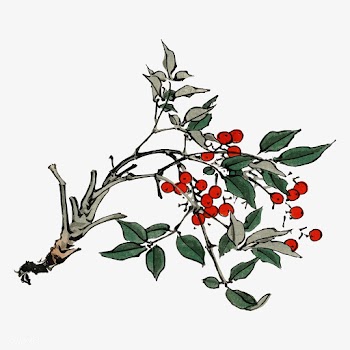 Firethorns by Kōno Bairei (1844-1895). Digit.. | Free stock vector - 467140