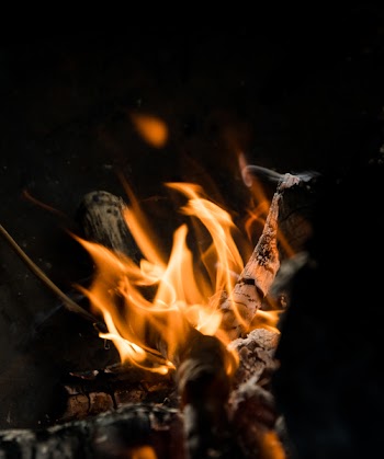 Firewood