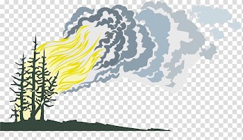 Firewood forest china design network transparent background PNG clipart