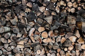 firewood lot