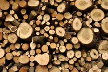 Firewood Lot