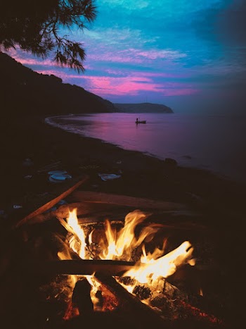 Firewood Near Seashore