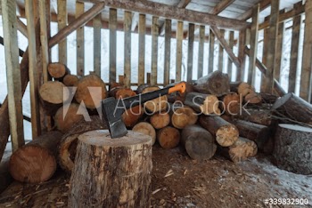 Firewood strange shed in the snow
