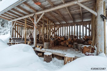 Firewood strange shed in the snow