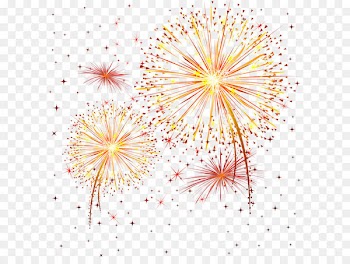 Fireworks Clip art - Fireworks PNG 