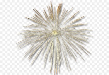 Fireworks Clip art - Transparent Gold Fireworks Effect 