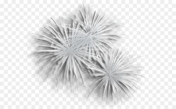 Fireworks Clip art - Transparent Silver Fireworks PNG Clipart 