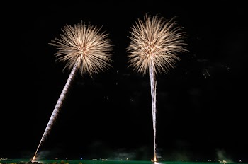 Fireworks Display Illustration