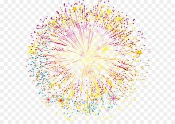 Fireworks Euclidean vector Vecteur - Fireworks 