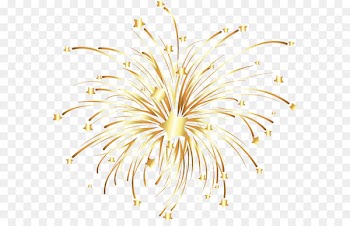 Fireworks Euclidean vector - Vector golden fireworks 