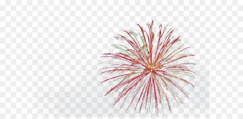 Fireworks Festival Firecracker Chinese New Year - Festival fireworks fireworks 