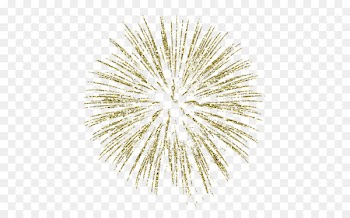 Fireworks Gold Clip art - fireworks 