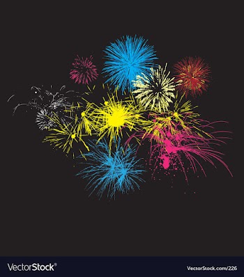 Fireworks on night sky vector image